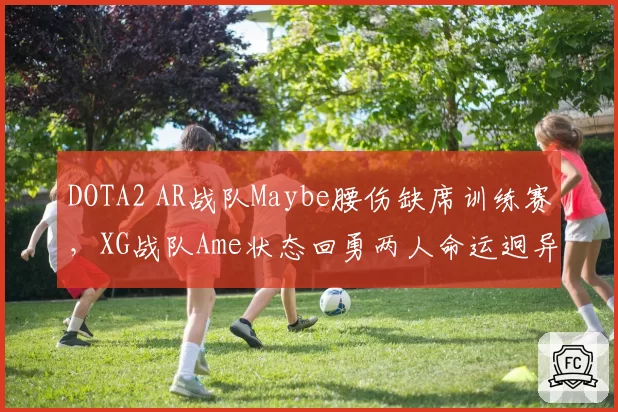 DOTA2 AR战队Maybe腰伤缺席训练赛,XG战队Ame状态回勇两人命运迥异