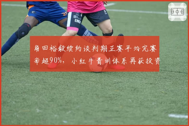 角田裕毅续约谈判期正赛平均完赛率超90%,小红牛青训体系再获投资回报